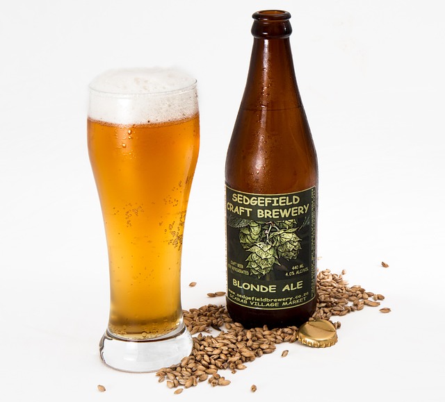Bottling, Kegging & Carbonation vs Alternatives : My Honest Hands-On Comparison