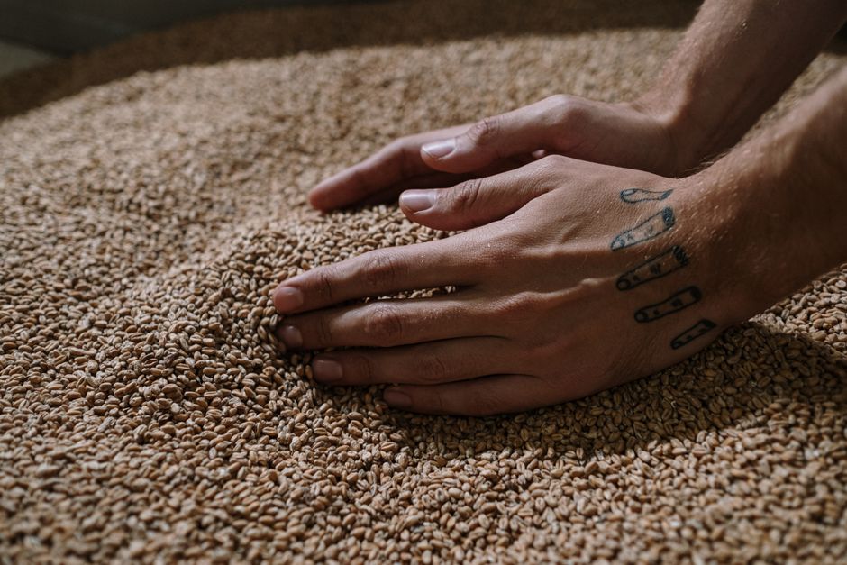 Common Myths About All-Grain Mashing & Sparging I Stopped Believing