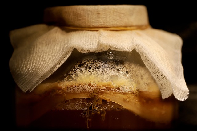 My Field Guide to Yeast Pitching & Fermentation : What Actually Works
