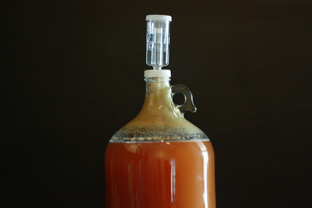 My Step-by-Step Blueprint for Cider, Mead & Wild Ferments