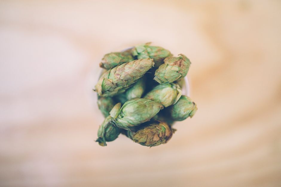 The Best Tools & Supplies I Actually Use for Hop Profiles & Boil Timing