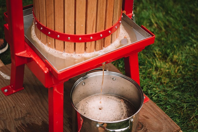 Troubleshooting Cider, Mead & Wild Ferments : Diagnosing and Fixing Problems